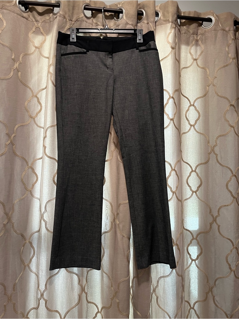 Express Charcoal Gray Boot-Cut Pants with Black Waistband